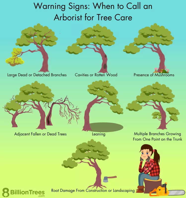 tree services company la crosse wi