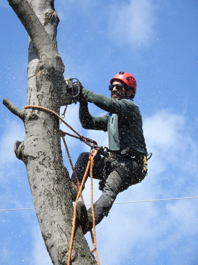 la crosse wi tree services