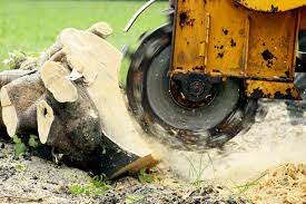 stump grinding and removal in la crosse wi