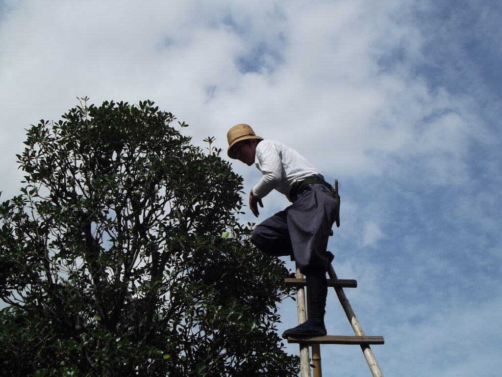 tree service la crosse wi